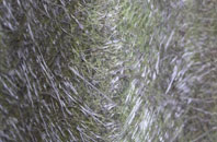 East Portlemouth fibreglass roof work